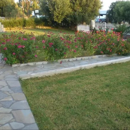 Sofia * نيا سكيوني